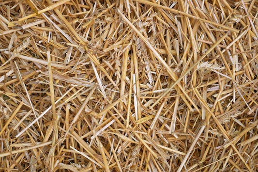 Straw Bales 4x3