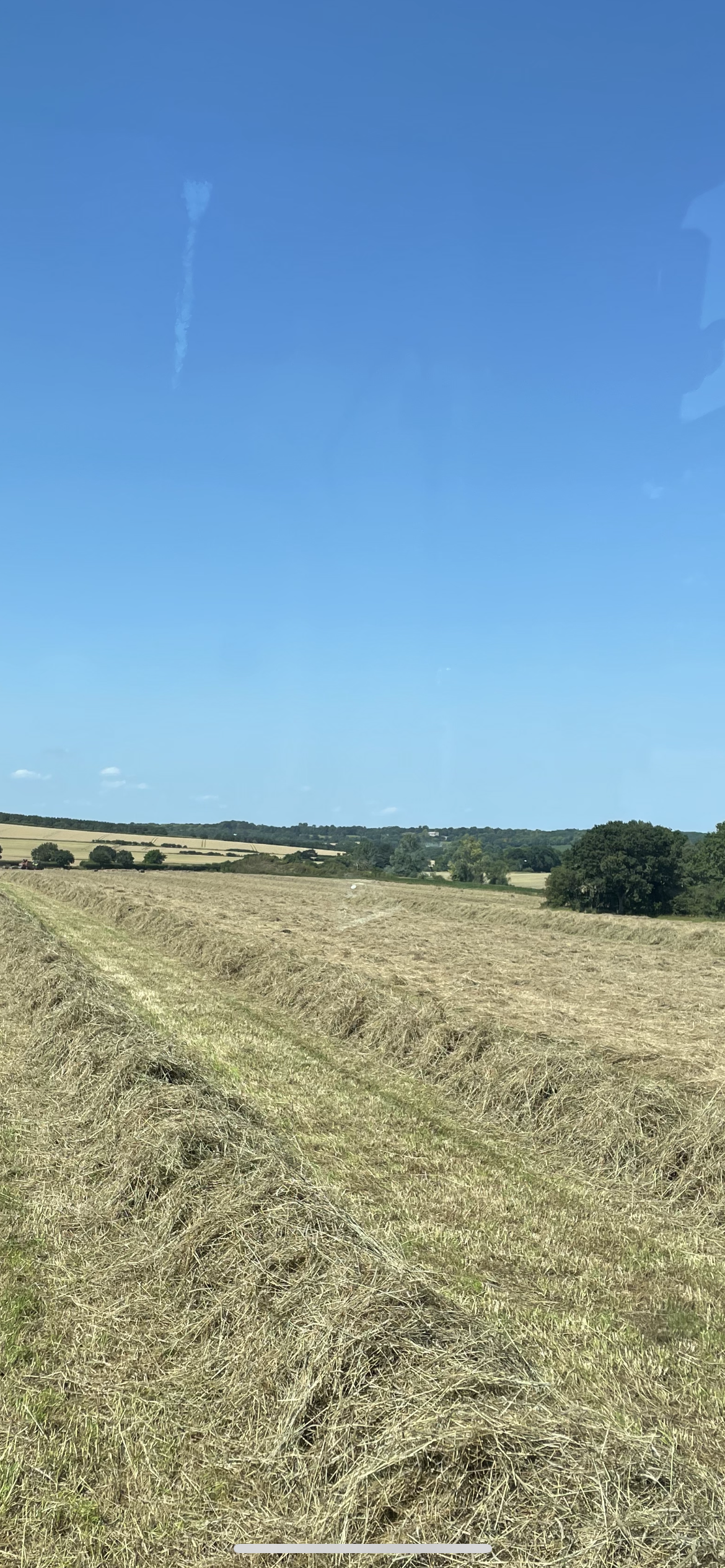 Hay- 4x3 bales